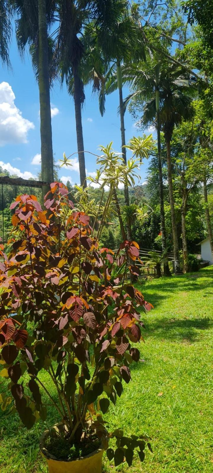Sitio Saramandaia Villa Juquitiba Ngoại thất bức ảnh